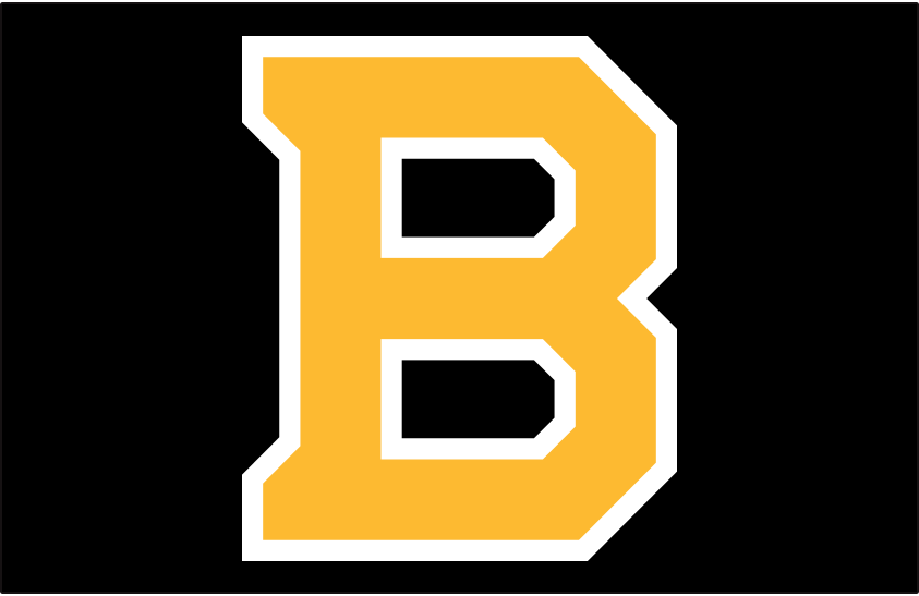 Boston Bruins 2019 20-Pres Jersey Logo iron on paper